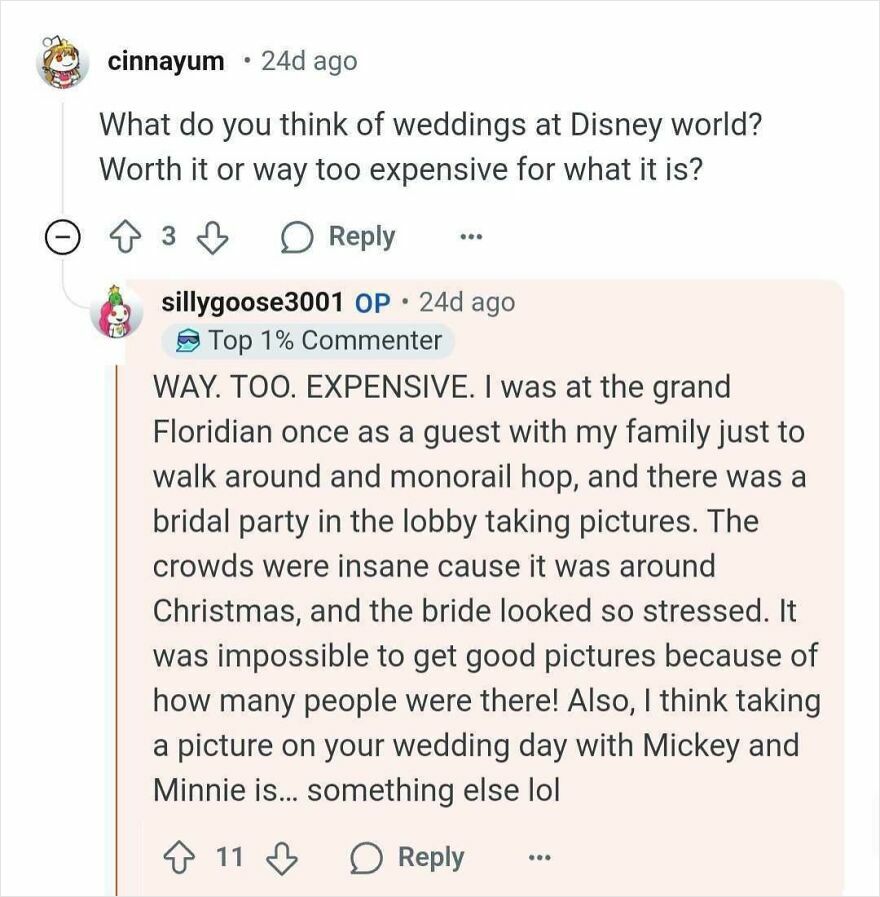 Comment on weddings at Disney parks, describing them as too expensive with crowded conditions and stressed couples.