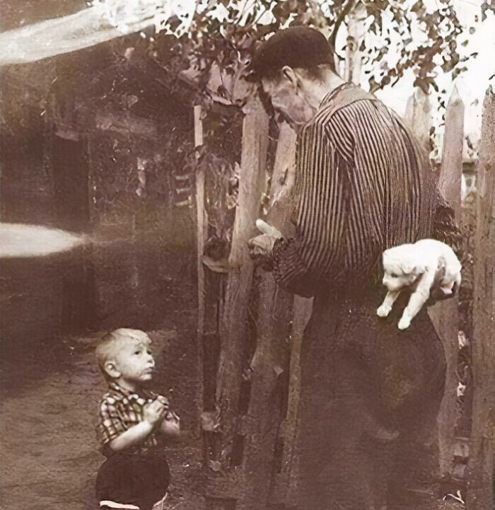 Child looking up at an elderly man holding a kitten, capturing true happiness in a rustic backyard setting.