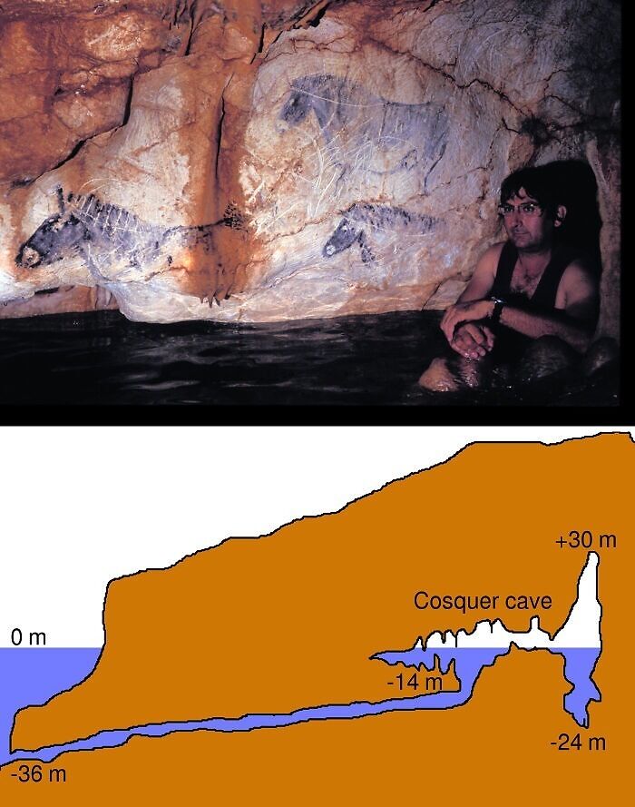 Ancient artefacts in Cosquer Cave with prehistoric horse paintings on rocky walls; human partially submerged nearby.