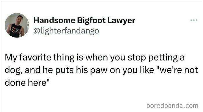 Funny meme about petting a dog, featuring a humorous tweet on winter blues relief.