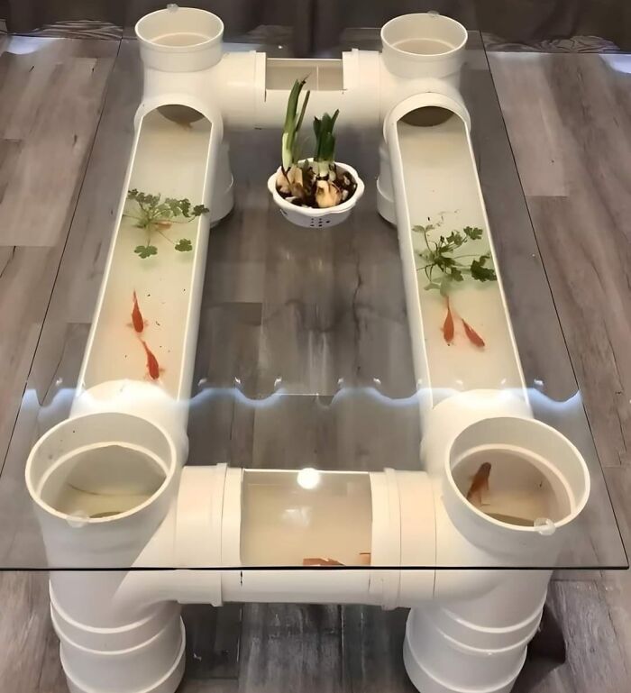 DIY project of a glass table with integrated PVC pipes, featuring goldfish and small plants inside.