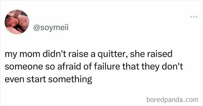 A hilariously random meme about not being a quitter, but fearing failure too much to start.