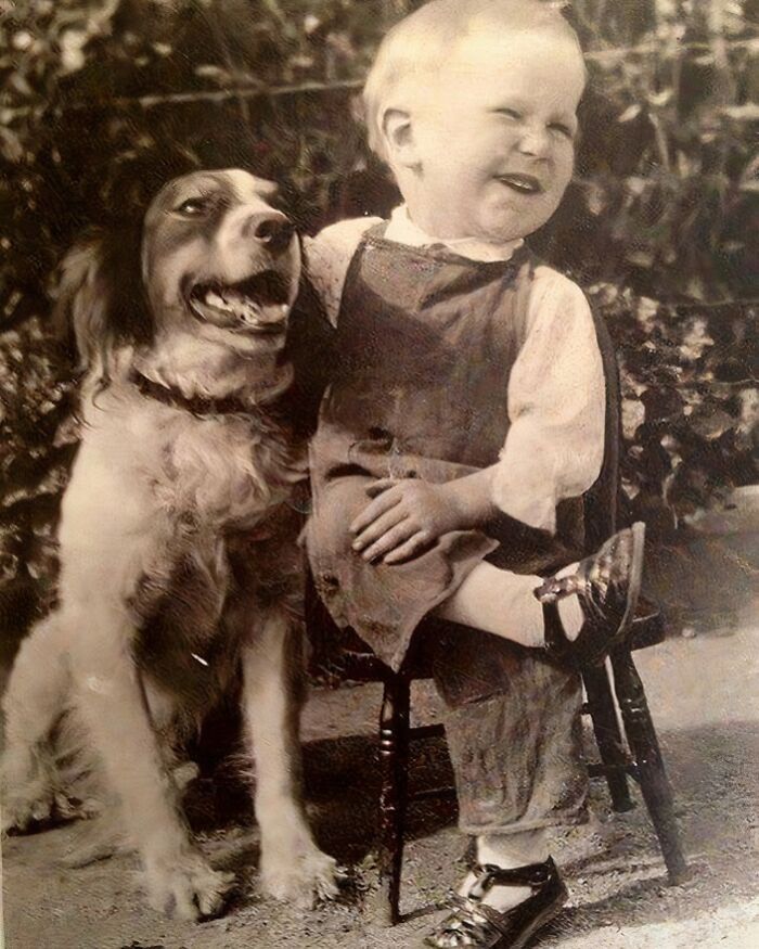 A smiling child seated with a joyful dog, capturing true happiness in a timeless moment.