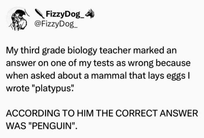 Text image about an infuriating teacher who incorrectly marked platypus as wrong, saying the answer was penguin.