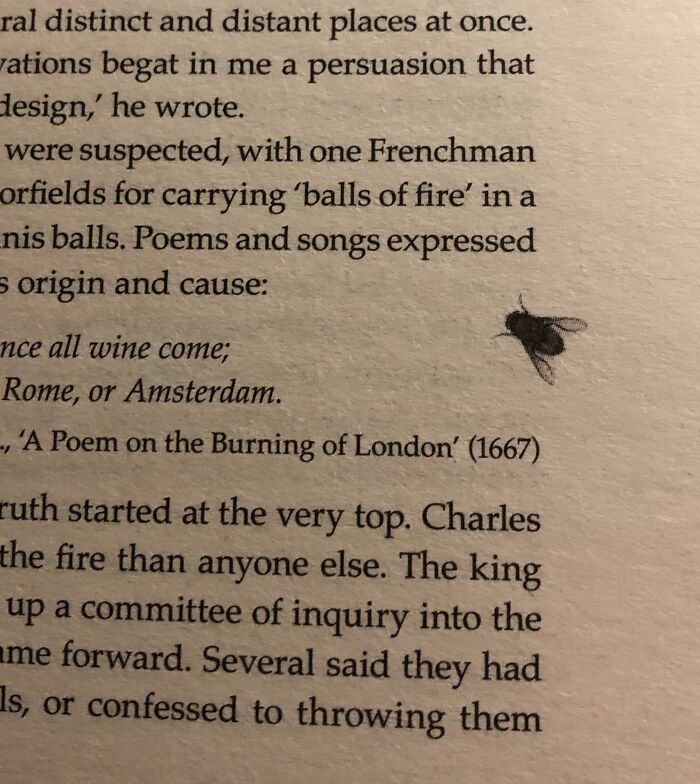 A page from poorly-designed books with text and a sketched fly on the margin.