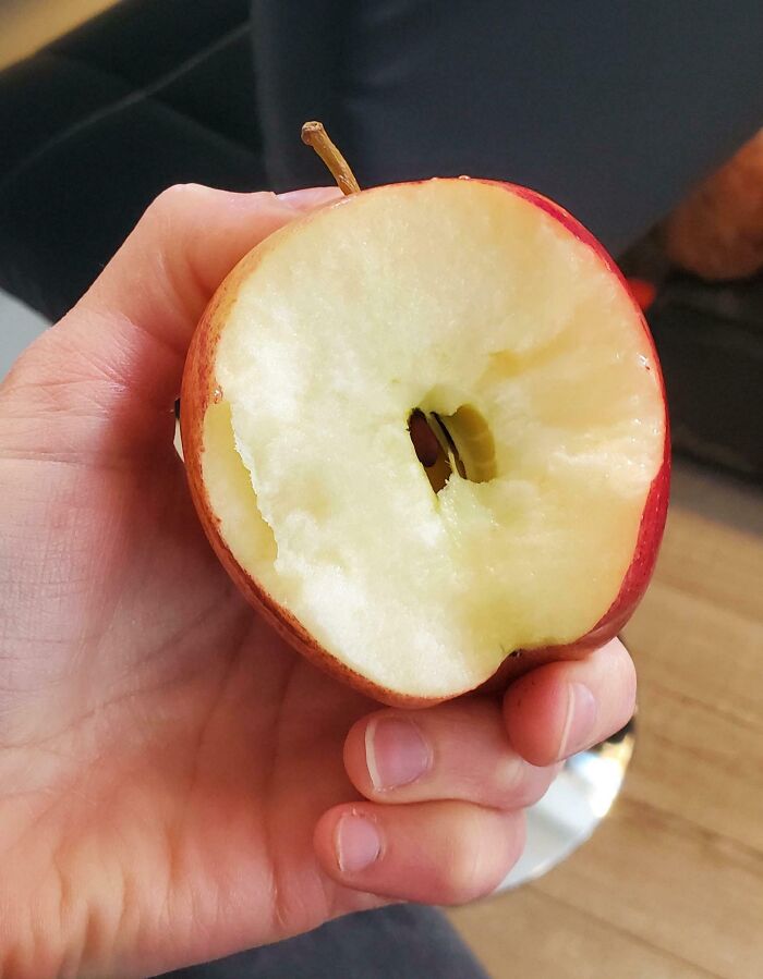 Hand holding an apple with a bite taken in the middle, illustrating funny habits of annoying boyfriends or husbands.
