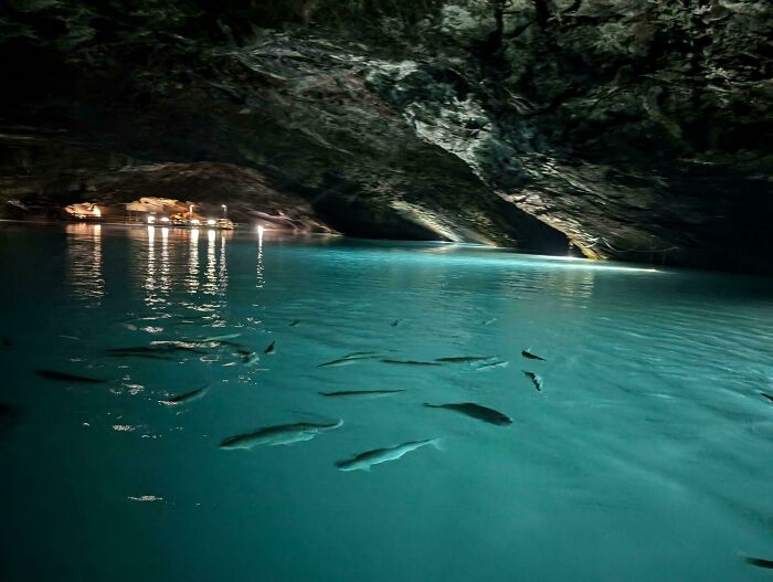 Underground cave lake with clear blue water and fish, offering tourist interesting experiences.