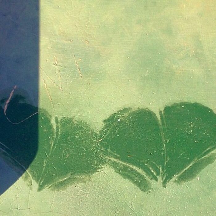 Abstract green surface captured by Jose Ruiz González, highlighting ordinary details with extraordinary texture and light.