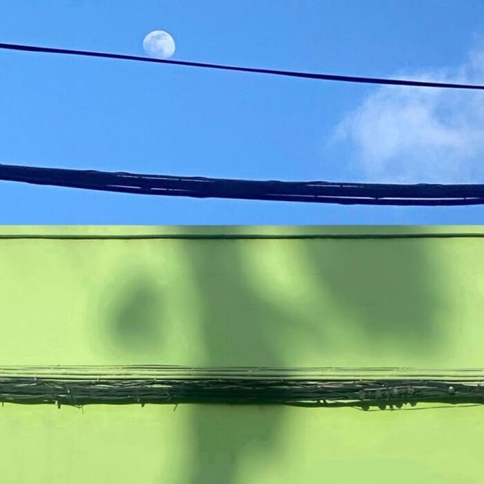 Jose Ruiz González captures ordinary scene: green wall, blue sky, wires, and moon.