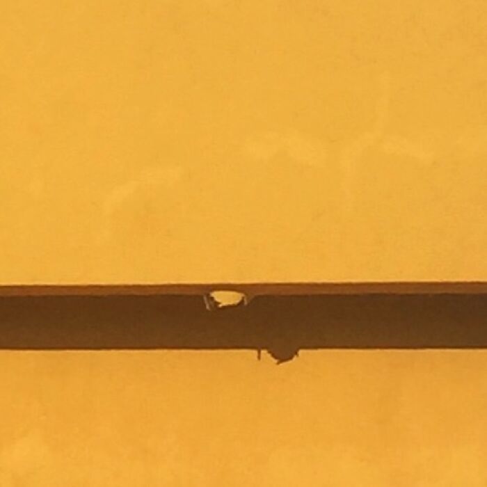 Ordinary scene with a small detail captured by Jose Ruiz González, featuring a chipped edge against a warm background.