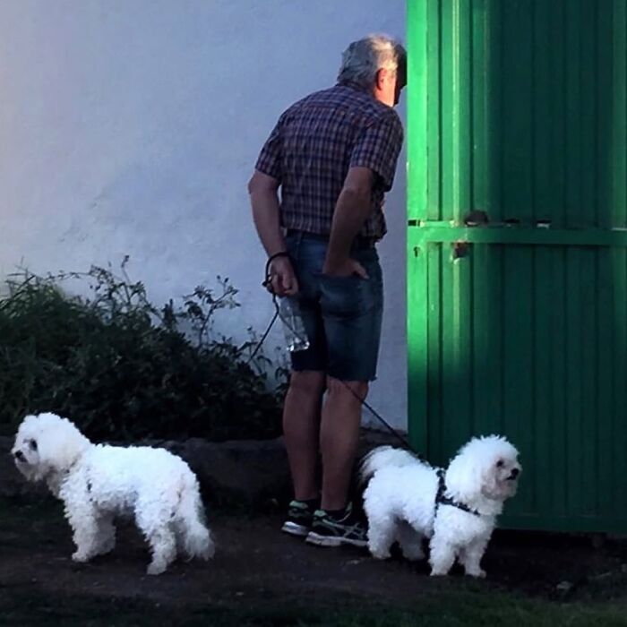 Man with two fluffy white dogs near a green door, showcasing Jose Ruiz González's skill in capturing the extraordinary in the ordinary.