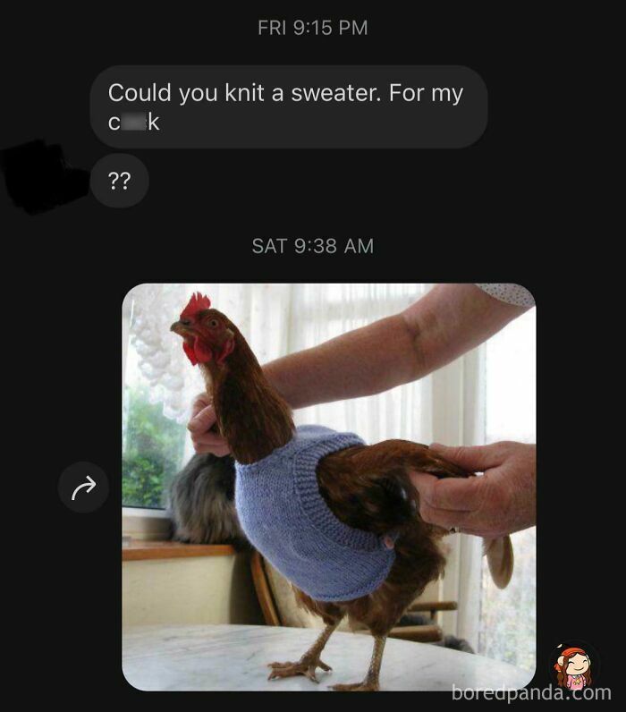 A response to a creepy DM with a humorous image of a chicken in a knitted sweater.
