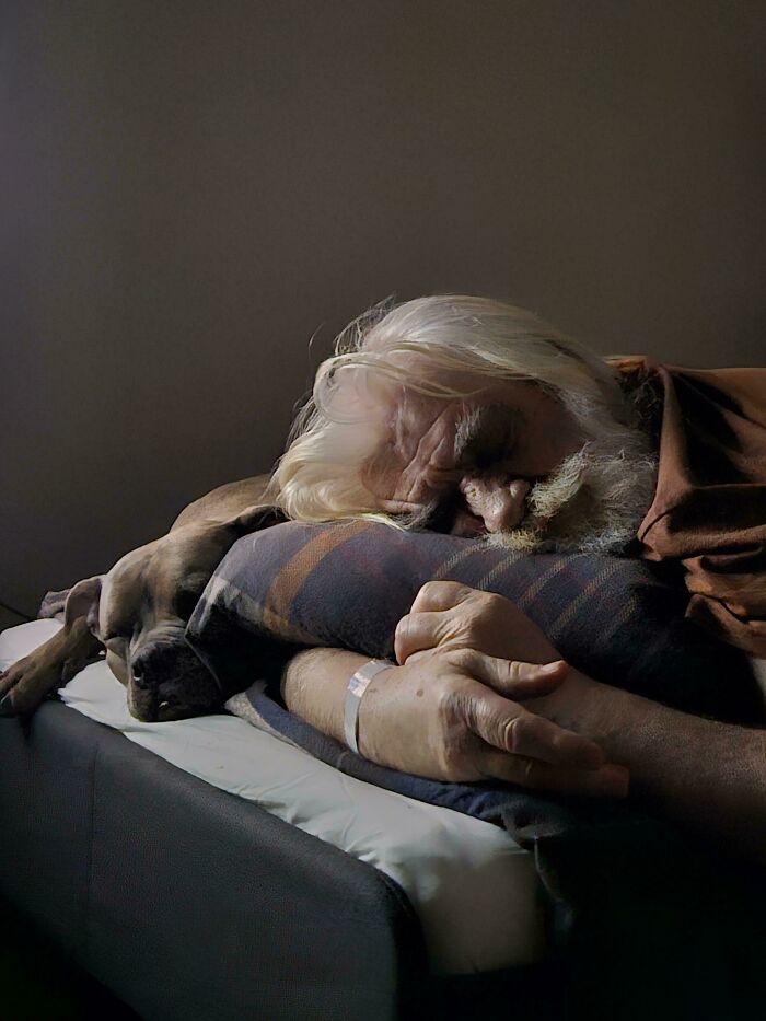 Elderly man and dog resting together, reminiscent of an accidental Renaissance painting.