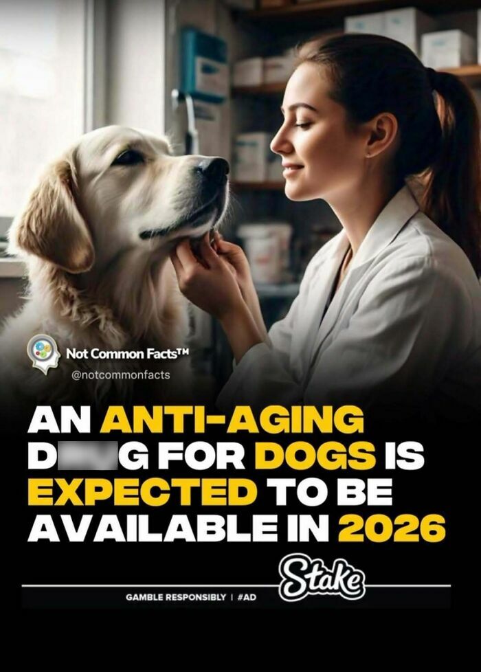 A woman in a lab coat gently pets a dog, relating to a fact about anti-aging d***s for dogs expected in 2026.