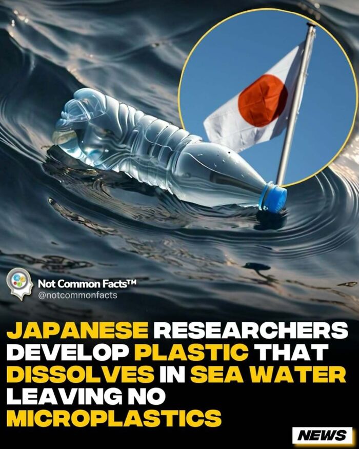 Plastic bottle floating in water, Japanese flag inset; researchers create sea-degradable plastic leaving no microplastics.