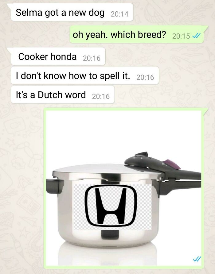 Funny chat about dog breed with a spelling error of "cooker honda" showing a cooker with a Honda logo.