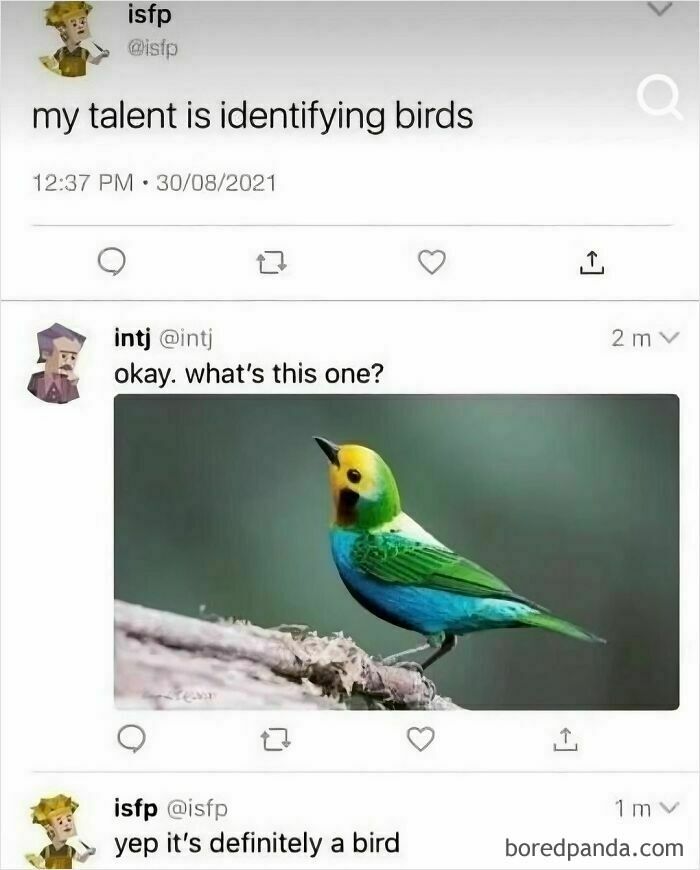 Funny men's humor meme about identifying birds on social media.