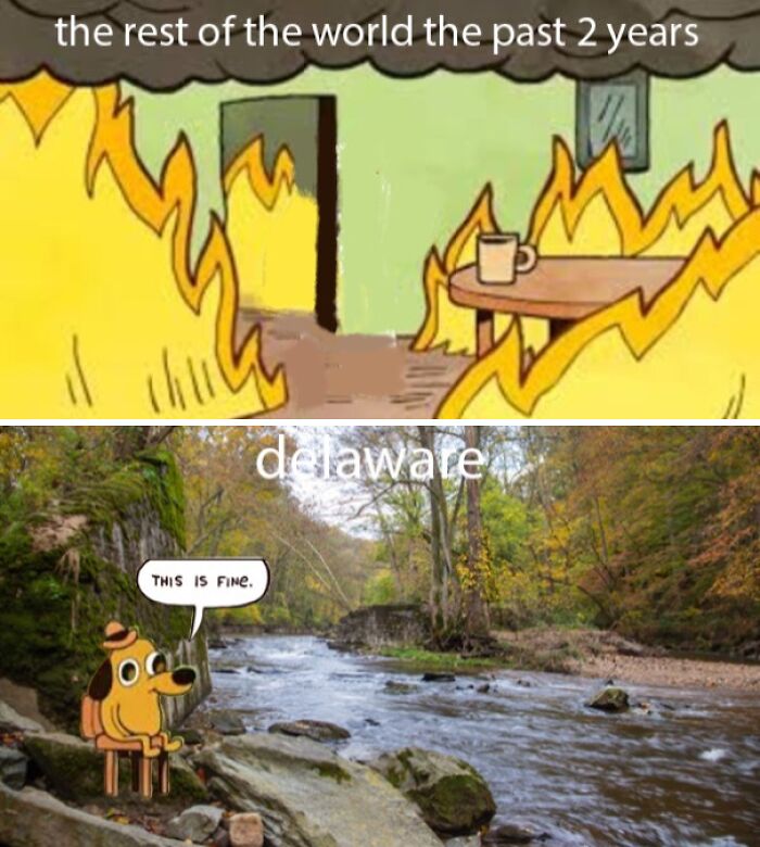 Meme comparing global chaos with a calm Delaware scene, featuring a "This is fine" dog cartoon.