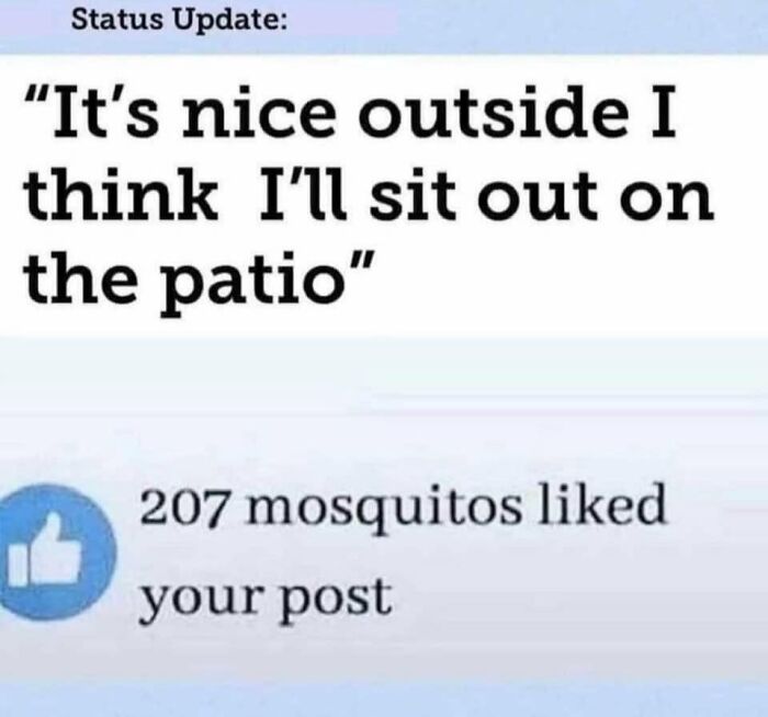 Funny meme about enjoying the patio with 207 mosquitoes "liking" the idea.