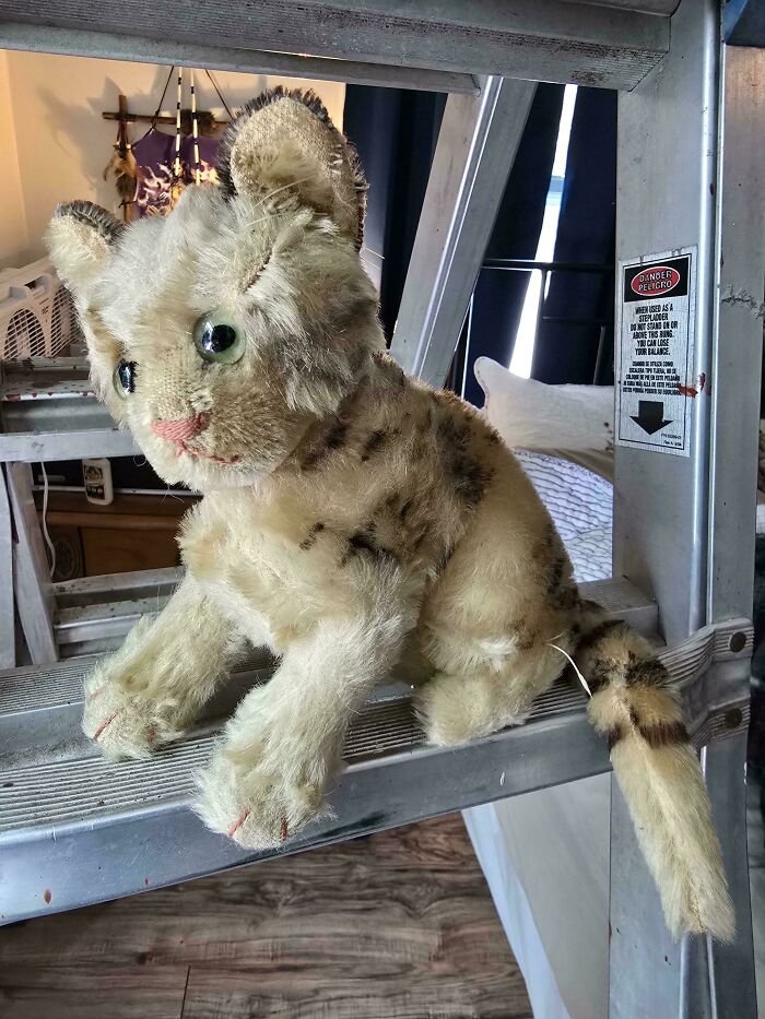 Vintage toy plush cat with glass eyes perched on a metal ladder in a cozy room.