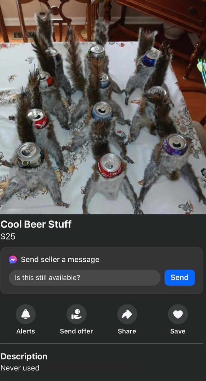 Stuffed squirrels holding beer cans in Facebook Marketplace listing.