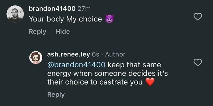 Comment section showcasing a clever comeback in a humorous online exchange.