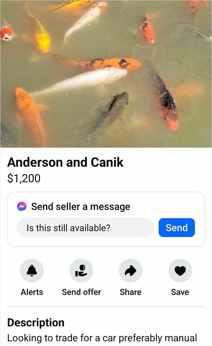 Fish in a pond listed on Facebook Marketplace with title Anderson and Canik, priced at $1,200.