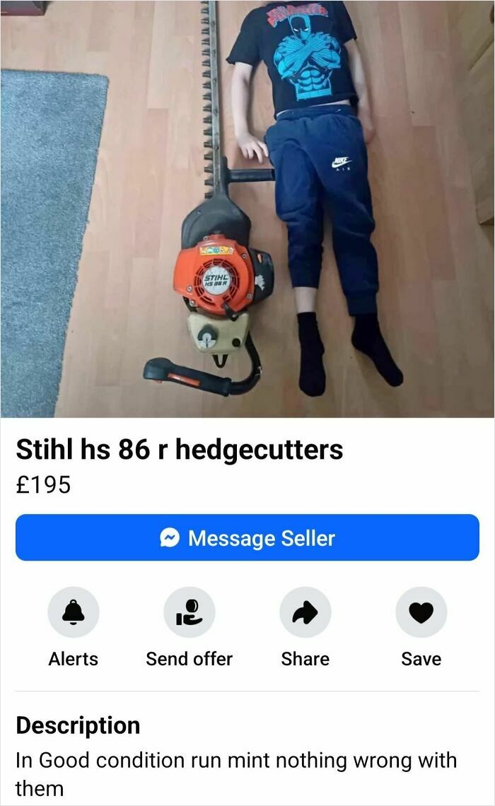 Person humorously posed with Stihl hedgecutter on Facebook Marketplace listing.