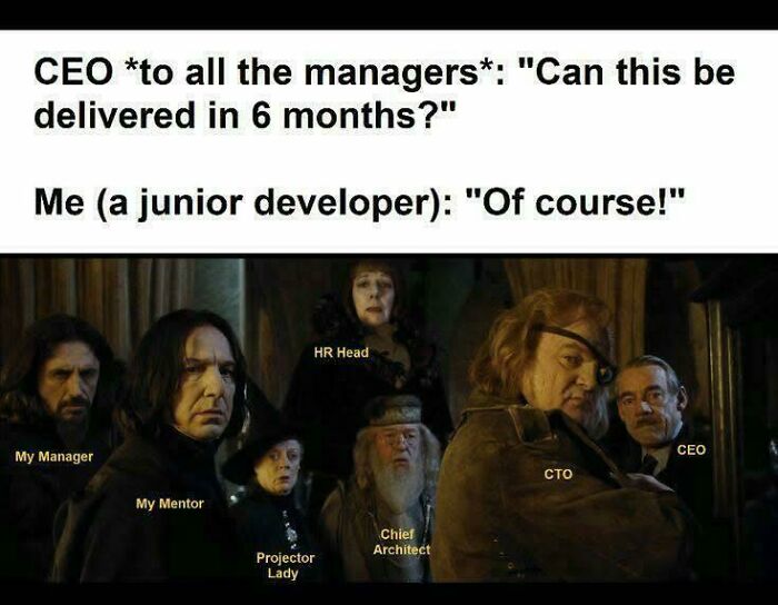 Programming meme showing a CEO asking managers about a 6-month delivery, with a humorous response from a junior developer.