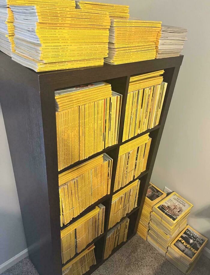 Collection of old National Geographic magazines neatly stacked on a bookshelf.