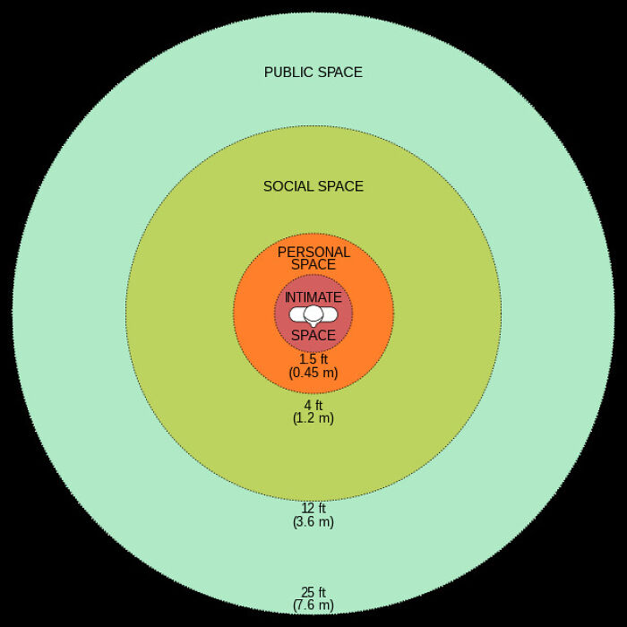 Chart illustrating personal, social, and public spaces, depicting the world's social distance norms in a fun way.