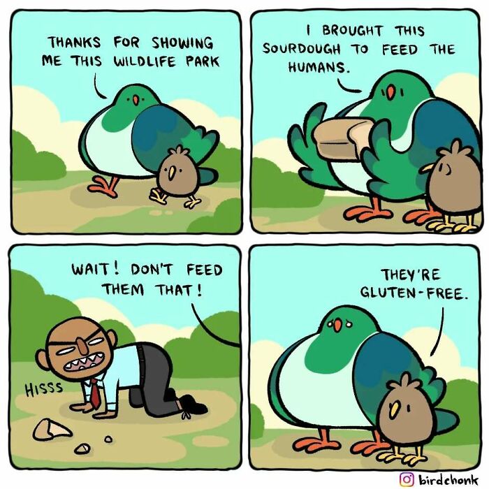 Comics featuring birds with reversed roles, humorously feeding humans sourdough in a wildlife park.