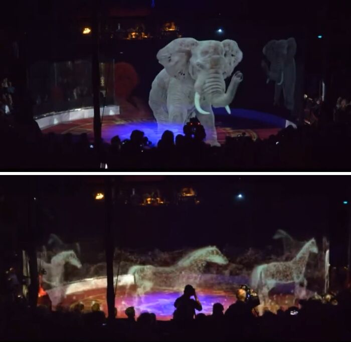 Holographic show featuring elephants and horses, offering a tourist-interesting-experience in a dimly lit venue.