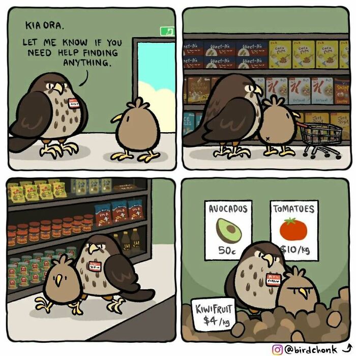 Comic by Birdchonk depicting birds with reversed roles in a humorous grocery shopping scene.