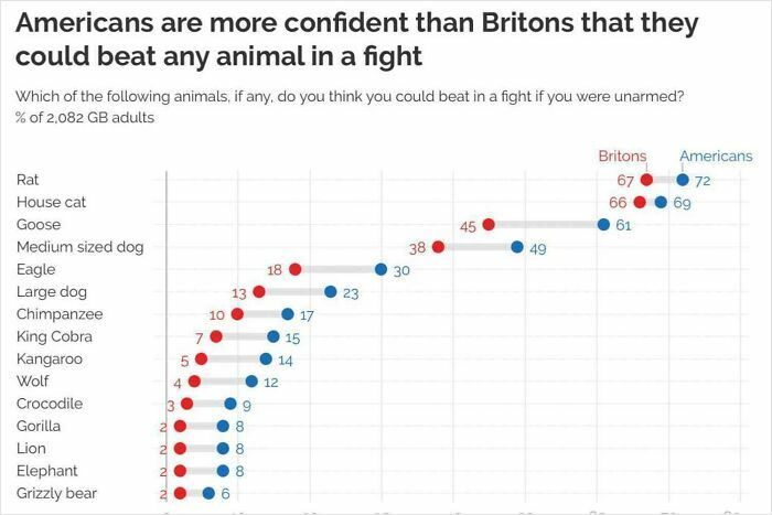 Chart comparing confidence of Americans and Britons beating animals in a fight; U.S. shows higher confidence across most categories.