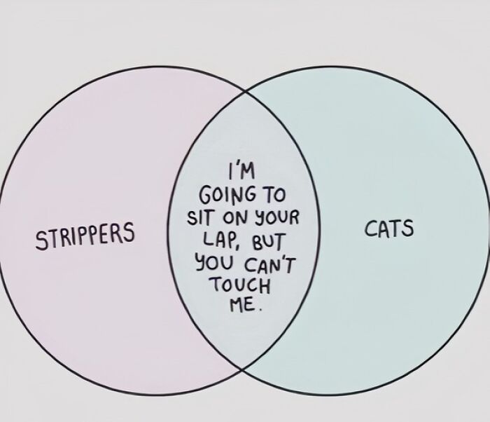 Venn diagram with humor comparing strippers and cats, highlighting their shared trait in the overlap section.
