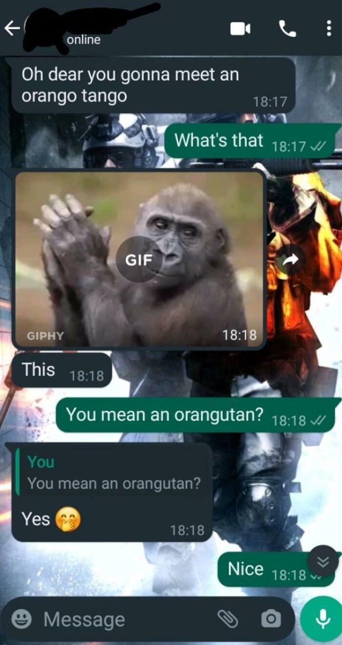 Chat screenshot showcasing ridiculous word spellings with "orango tango" instead of "orangutan," making grammar enthusiasts cringe.