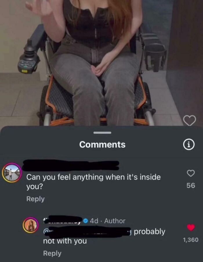 Woman in a wheelchair delivers a hilarious clever comeback in an online comment.
