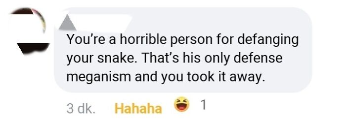 Comment with a spelling error in "meganism" instead of "mechanism," causing grammar police to cringe.