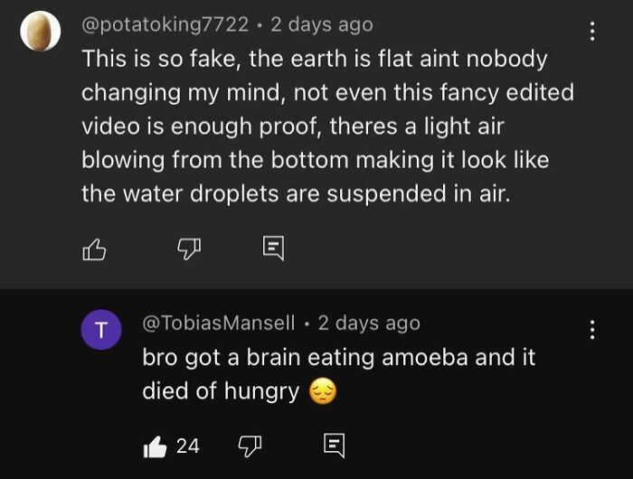 Comment thread with a clever comeback about flat earth theory and a brain-eating amoeba.