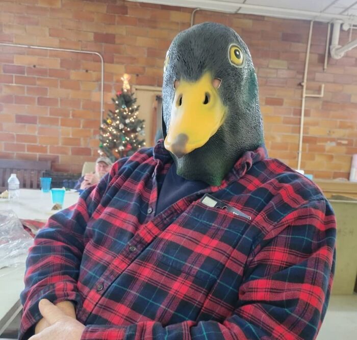 Person wearing a duck mask from Archie Mcphee Items, dressed in a plaid shirt, sitting indoors with a festive background.
