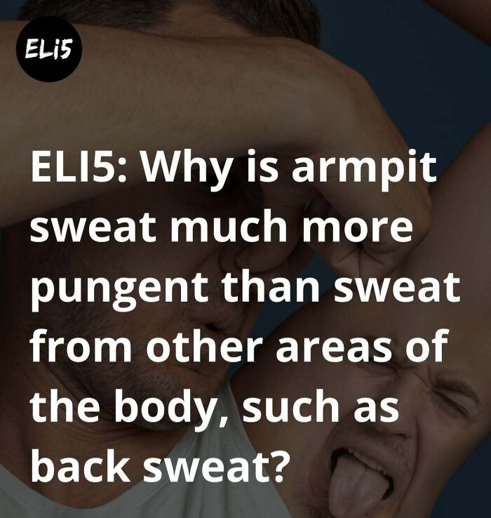 Text reads "ELI5: Why is armpit sweat more pungent than other sweat?" over an image of a person smelling their armpit.