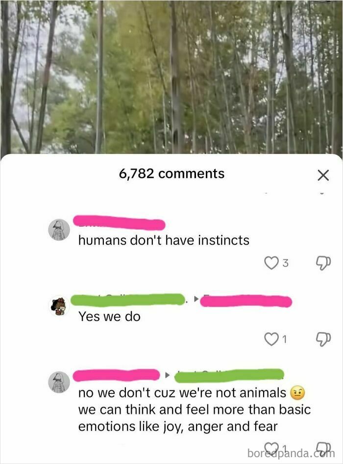 Comments arguing about human instincts, showcasing courage over knowledge.