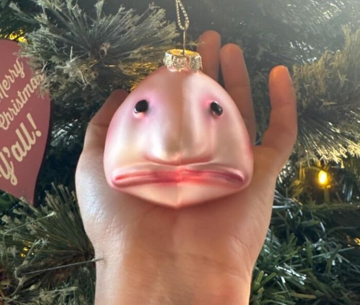 A hand holding an Archie Mcphee blobfish ornament near a Christmas tree.