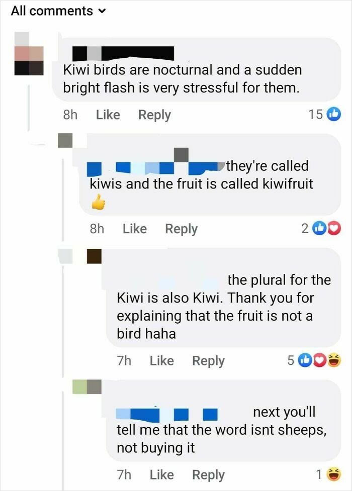 Comments discussing the differences between kiwi birds and kiwifruit, with humorous incorrect corrections.