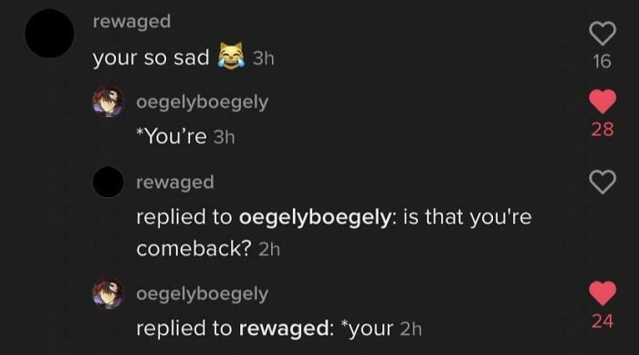 Funny exchange with clever comebacks correcting grammar mistakes in online comments.