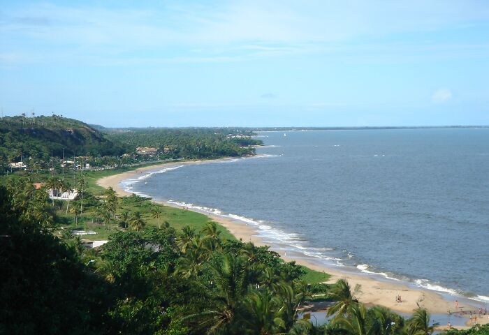 Retro Brazilian beach scene with lush greenery and gentle waves on a serene sandy shoreline.