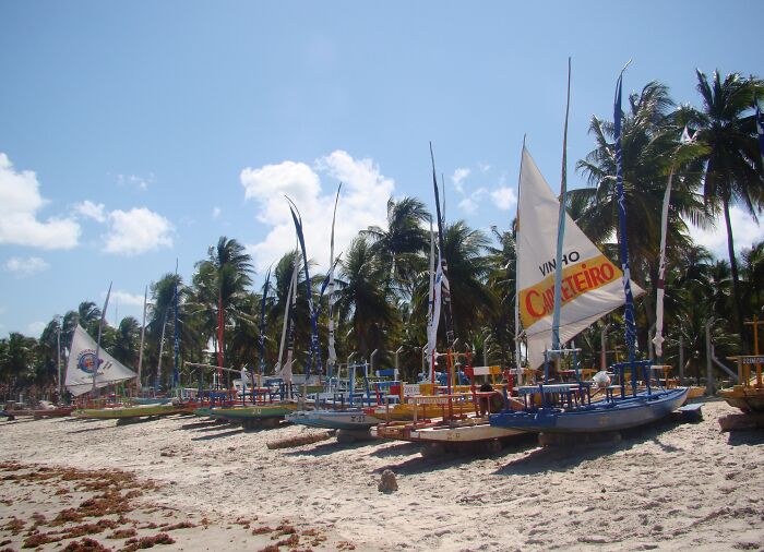 Retro Brazilian beach with colorful sailboats and palm trees on the sand under a clear blue sky.