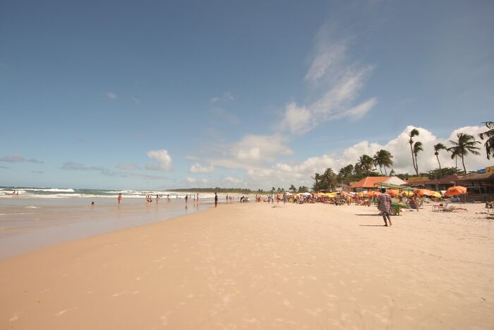 Retro Brazilian beach scene with sun, sand, and palm trees, capturing a nostalgic coastal vibe.