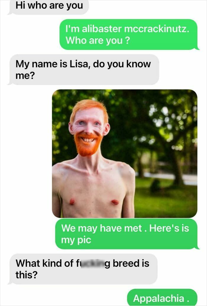 Text message exchange with a humorous reply to a scammer, including a funny image response.